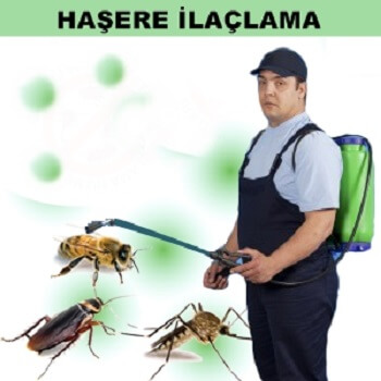 Pehlivanköy Böcek İlaçlama